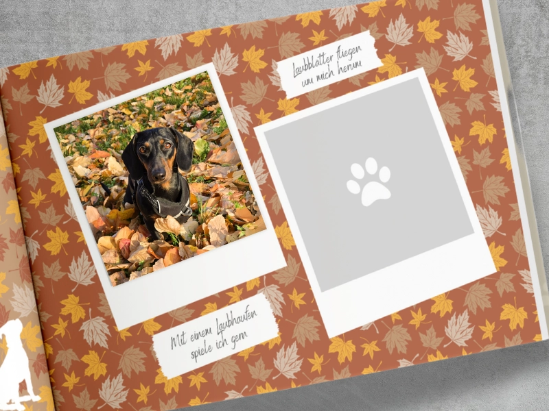 Dackel im Laubhaufen eingeklebt in der Herbst Seite